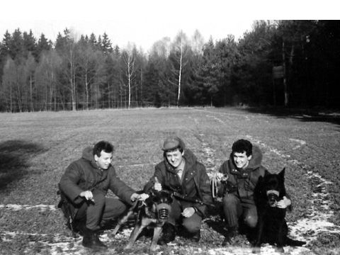 Foto 19